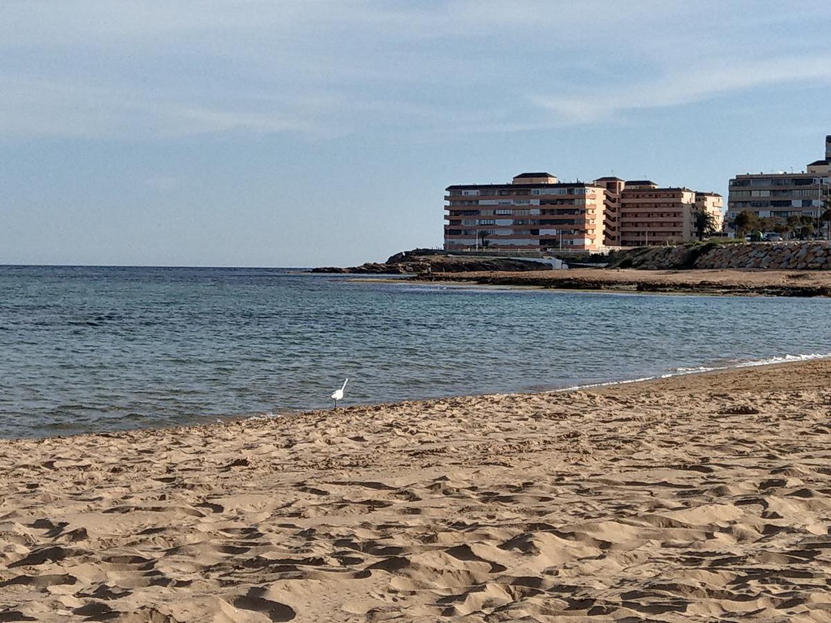 Ferienwohnung Torrevieja Esterno foto